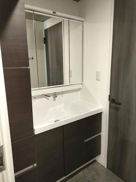Ｔｓ　Ｒｅｓｉｄｅｎｃｅ白金高輪の洗面所