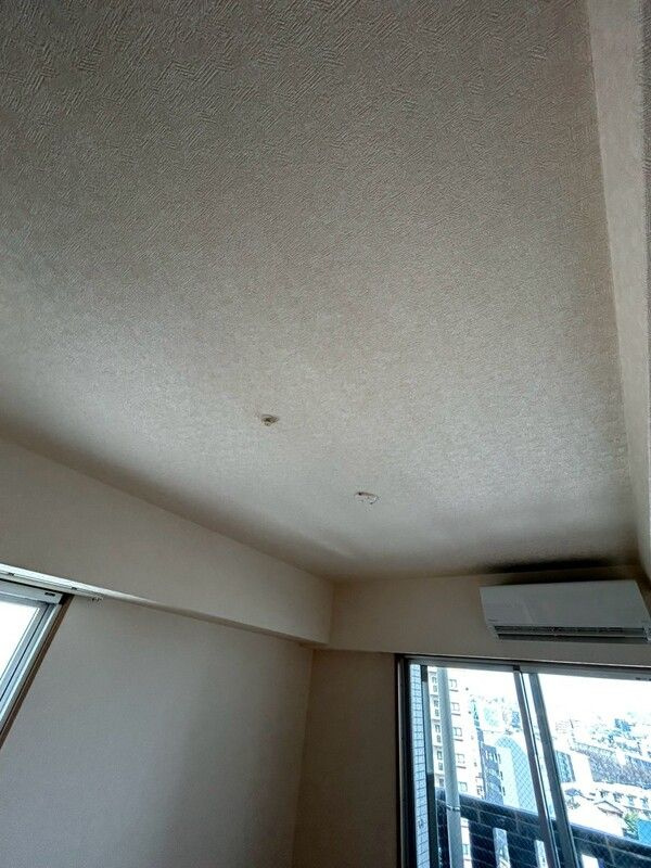 サヴォイザブルネットのその他