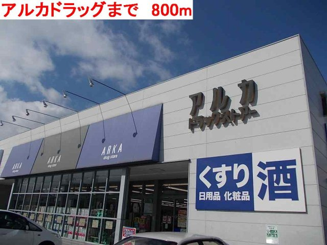 ドミールⅠの周辺|アルカドラッグまで800m
