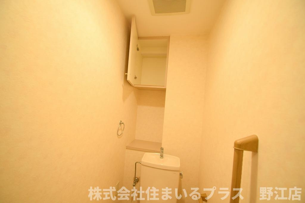ハーヴィスカエロンのその他