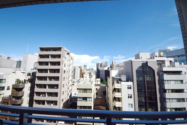 パークハビオ八丁堀の展望