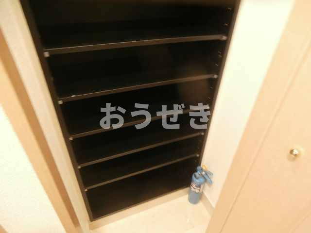 アヴァンティーク銀座２丁目　１１０４号室の収納