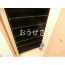 アヴァンティーク銀座２丁目　１１０４号室の収納