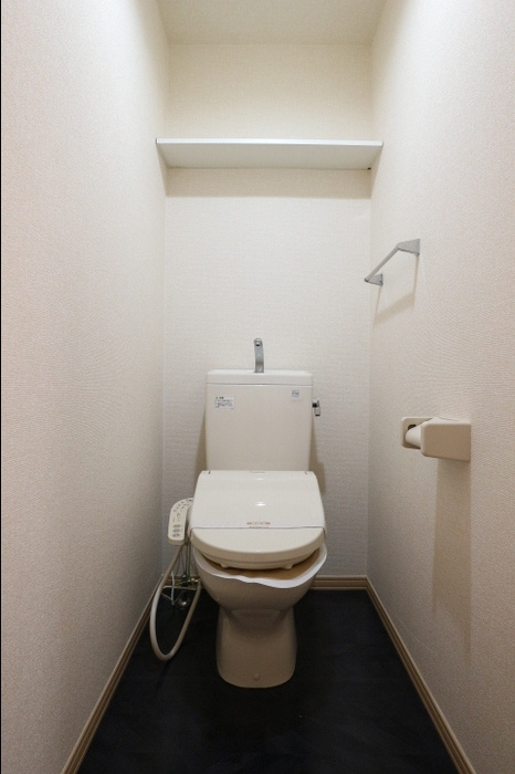 アルファタウン天王台Eのトイレ|落ち着いた色調のトイレです