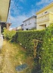 【庭】 | 柏町二丁目戸建