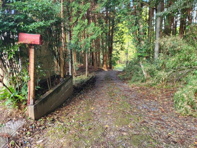 【前面道路含む現地写真】の画像
