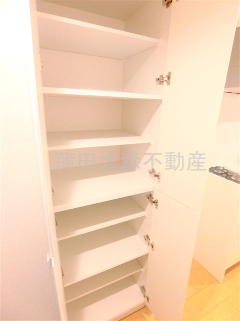 ルネサンスコート大森町の収納|玄関収納②