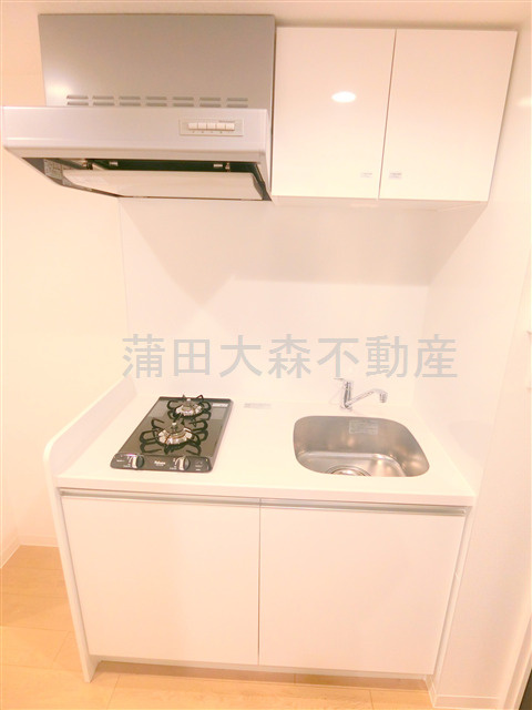 ルネサンスコート大森町のキッチン|2口ガスシステムキッチン