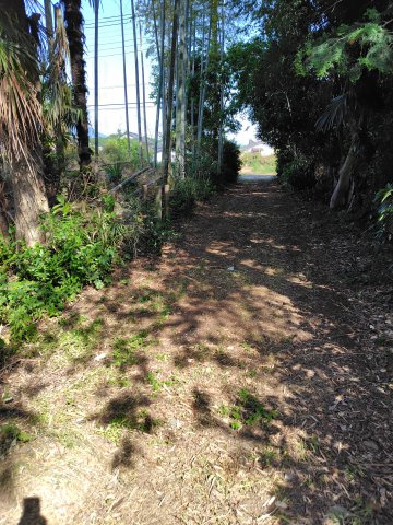 高津中古戸建てのその他