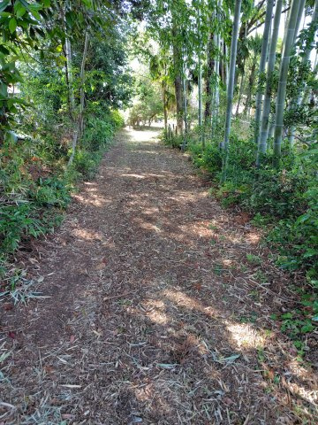 高津中古戸建てのその他