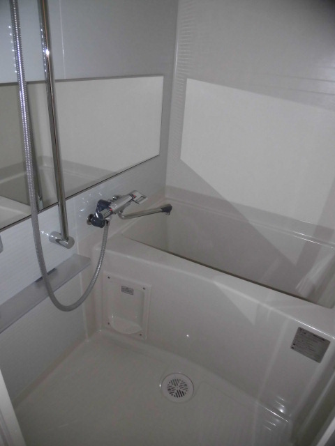 大阪市中央区上本町西１丁目の賃貸マンションの浴室