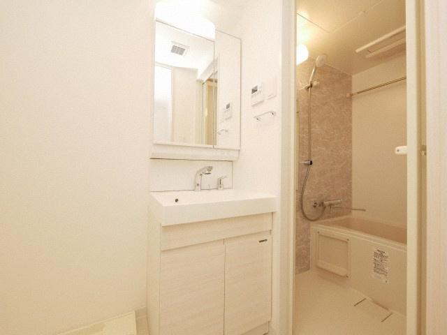S-RESIDENCE福島Alovitaの洗面所