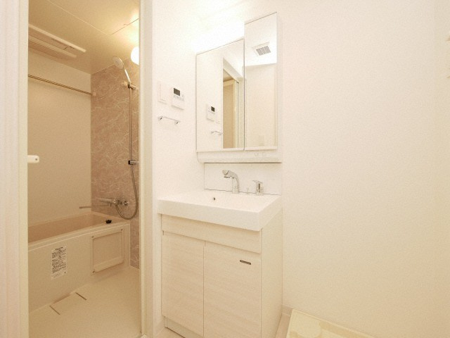 S-RESIDENCE福島Alovitaの洗面所