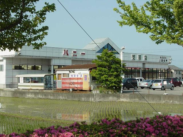 グランカーサの周辺|ハニーBigBellyMarket芝原店まで1,202ｍ