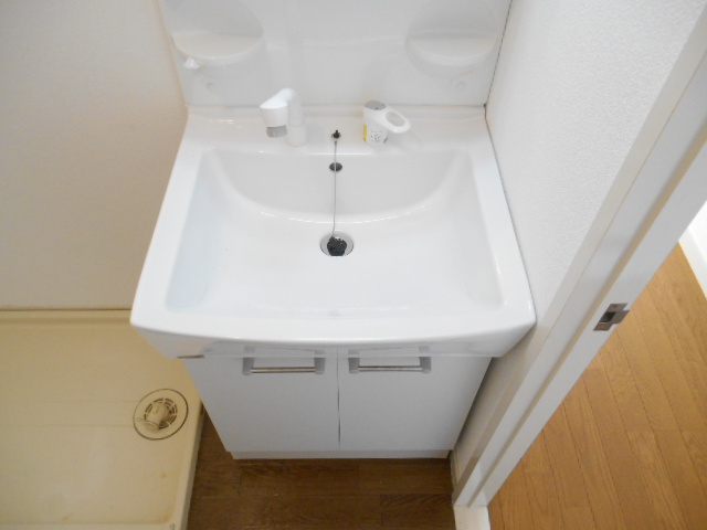 ロイヤル曽根の洗面所