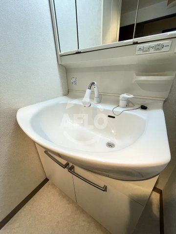 シティテラス大新　堀川小学校の設備|シティテラス大新　独立洗面化粧台