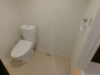 【トイレ】 | カーサデナル鶴間(カーサデナルツルマ) | 別号室参考写真