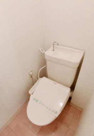 昭島市大神町３丁目の賃貸マンションのトイレ