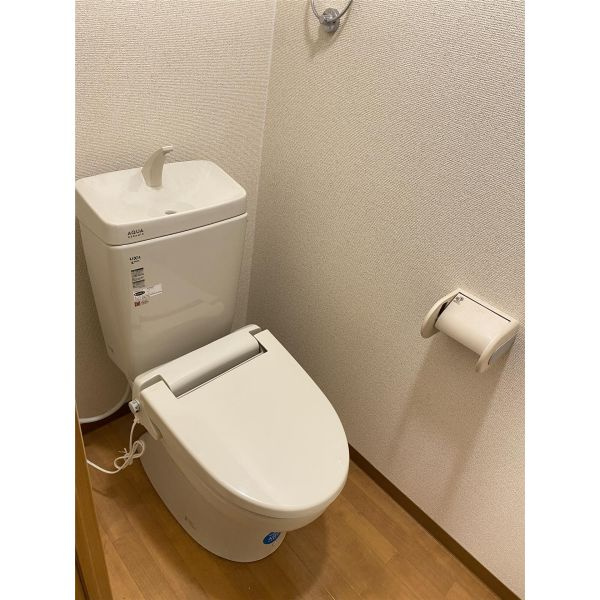ロワイヤル八代のトイレ