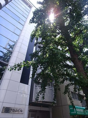 アール・ブリュット白山の外観