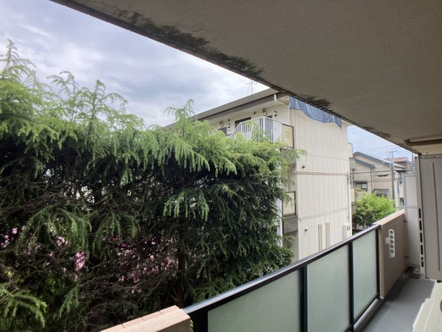 コンフォートグリーンの展望