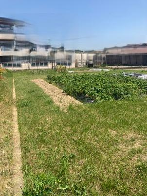 飾磨区矢倉町　売土地の外観