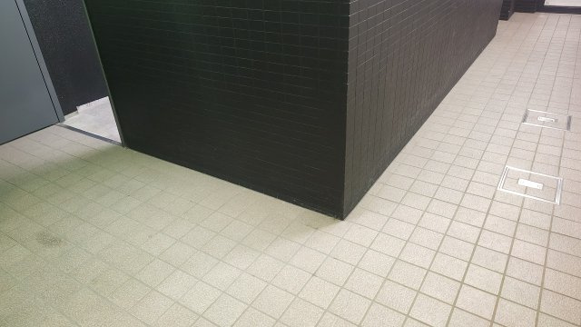 ヴァーチュアスあさぎりのその他