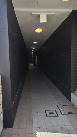 ヴァーチュアスあさぎりのその他共用部分