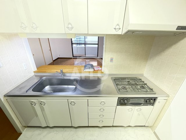 シティテラス大新　堀川小学校のキッチン|シティテラス大新　システムキッチン