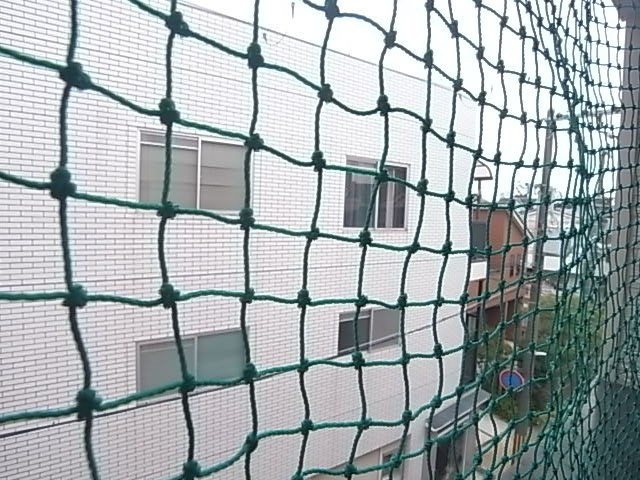 メゾネート大物Ⅱの展望