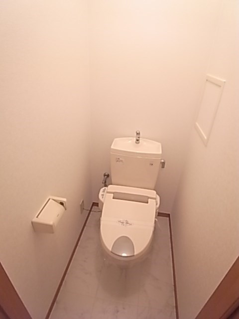 メゾネート大物Ⅱのトイレ