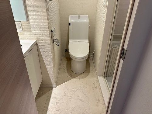 自由ヶ丘第３マンションのトイレ