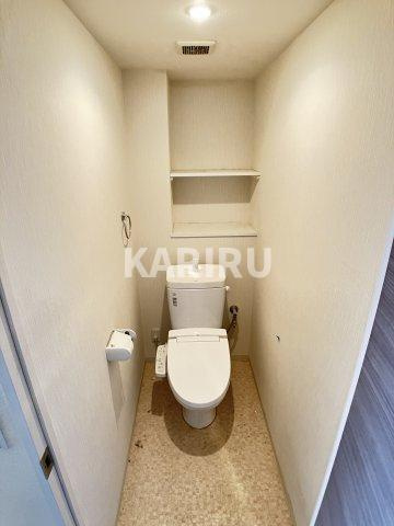 Ｖａｒｉｕｓ ｓｉｎｍｏｒｉ のトイレ