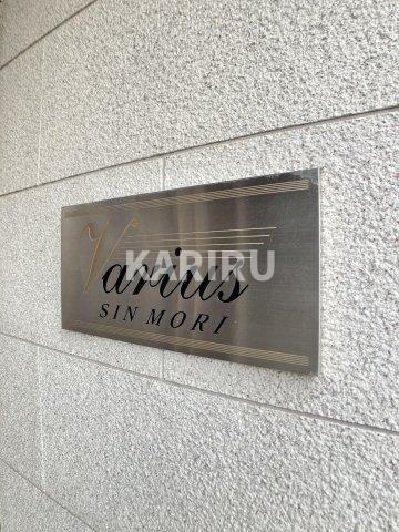 Ｖａｒｉｕｓ ｓｉｎｍｏｒｉ の設備