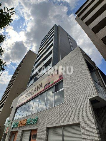 Ｖａｒｉｕｓ ｓｉｎｍｏｒｉ の外観