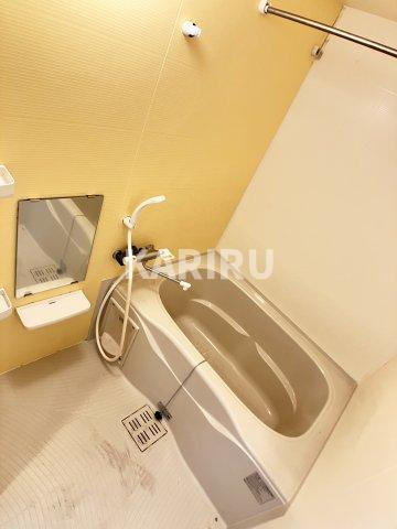 Ｖａｒｉｕｓ ｓｉｎｍｏｒｉ の浴室