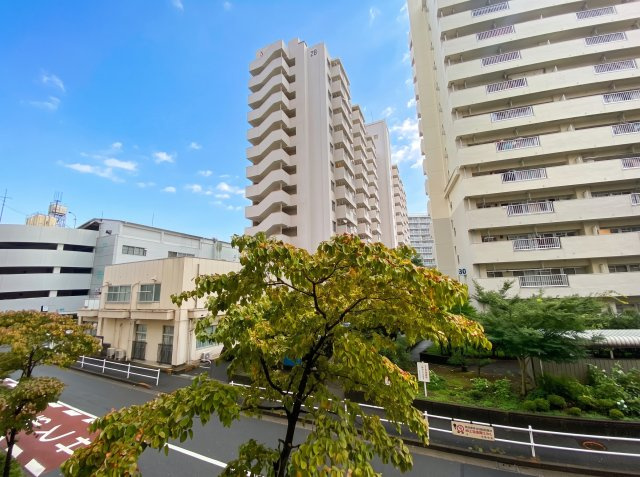【展望】 | サニー大久保