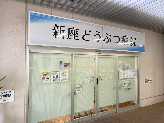 Ｍａｘ　Ｍｏｌｌｙ　Ｃのその他|新座どうぶつ病院
