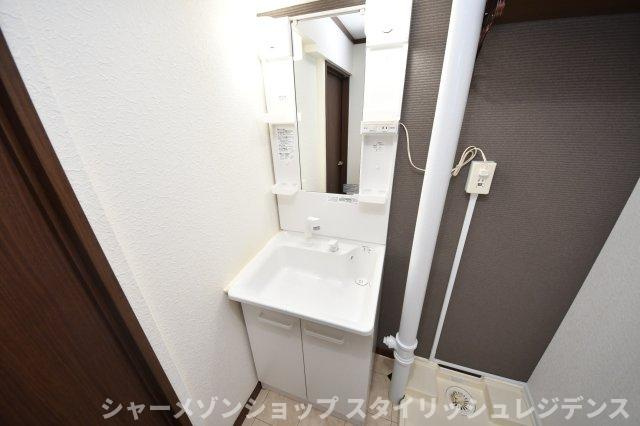 グリーンマンションの洗面所