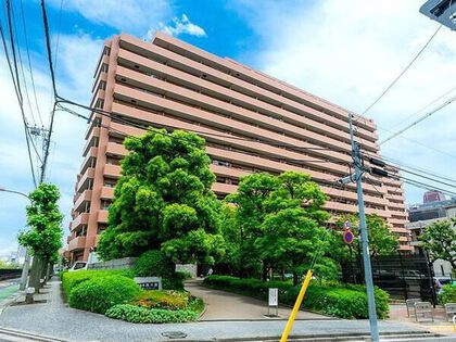 コスモ西大島グランステージの外観|コスモ西大島グランステージ８階部分のお部屋は通常仲介手数料２７０万５３４０円→０円！さらにキャッシュバック２１万円にて即日現地案内可能です！