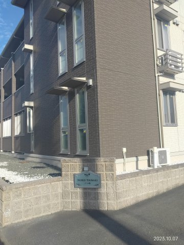 ノール椿のその他