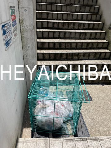 グランエッグス新大塚Ｗのその他共用部分|敷地内ゴミ置き場
