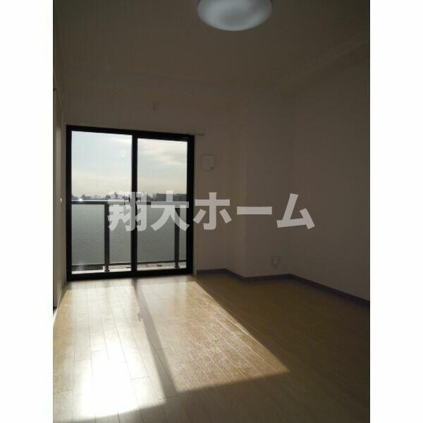 ＰＡＰＩＬＬＯＮの展望