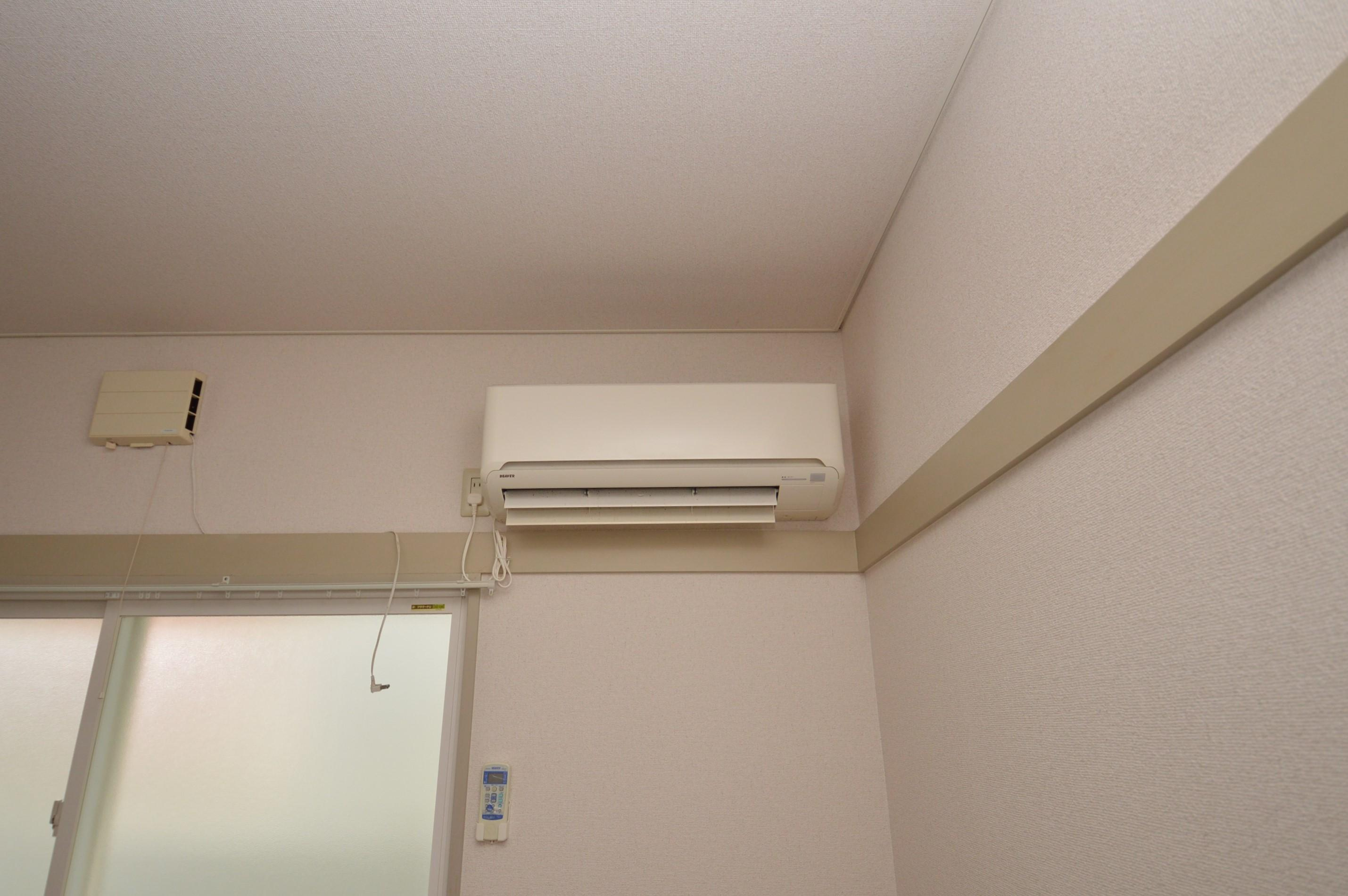 アミティのその他