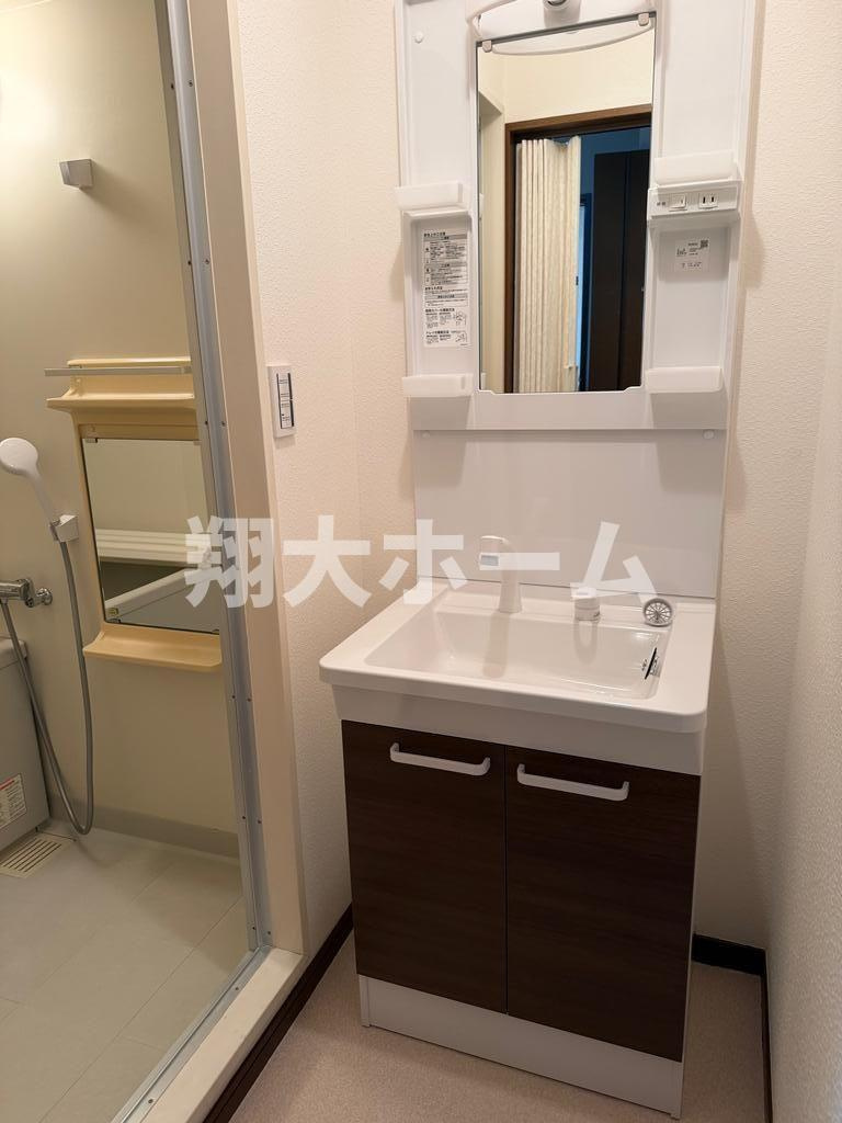 ドミール横田の洗面所