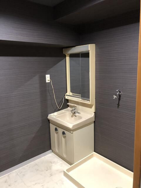 相模原市中央区上溝３丁目の賃貸マンションの独立洗面台