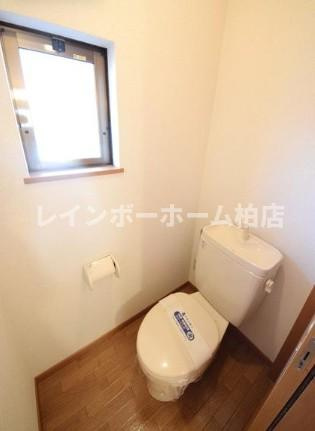 特典：仲介手数料が50％OFFです‼のトイレ|コンパクトで使いやすいトイレです