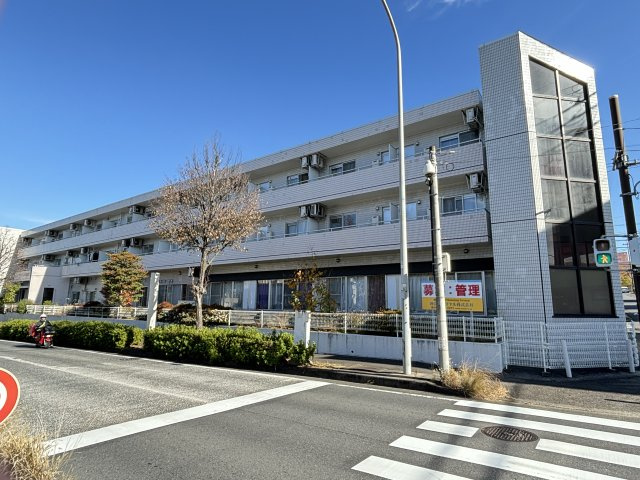 サウス・テラ・６６の画像