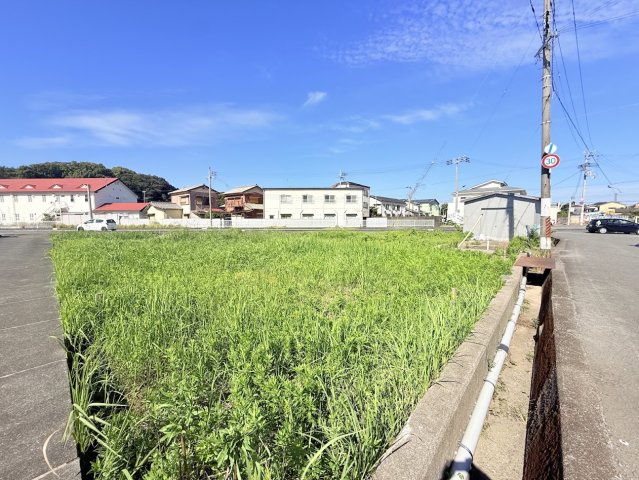 田辺市文里二丁目_土地の周辺
