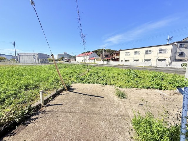 田辺市文里二丁目_土地の周辺